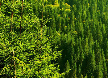 real estate brokers grants pass